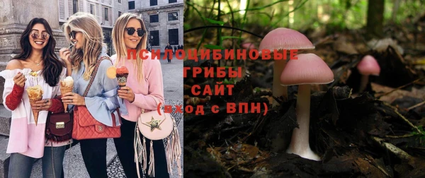 ALPHA-PVP Алексеевка